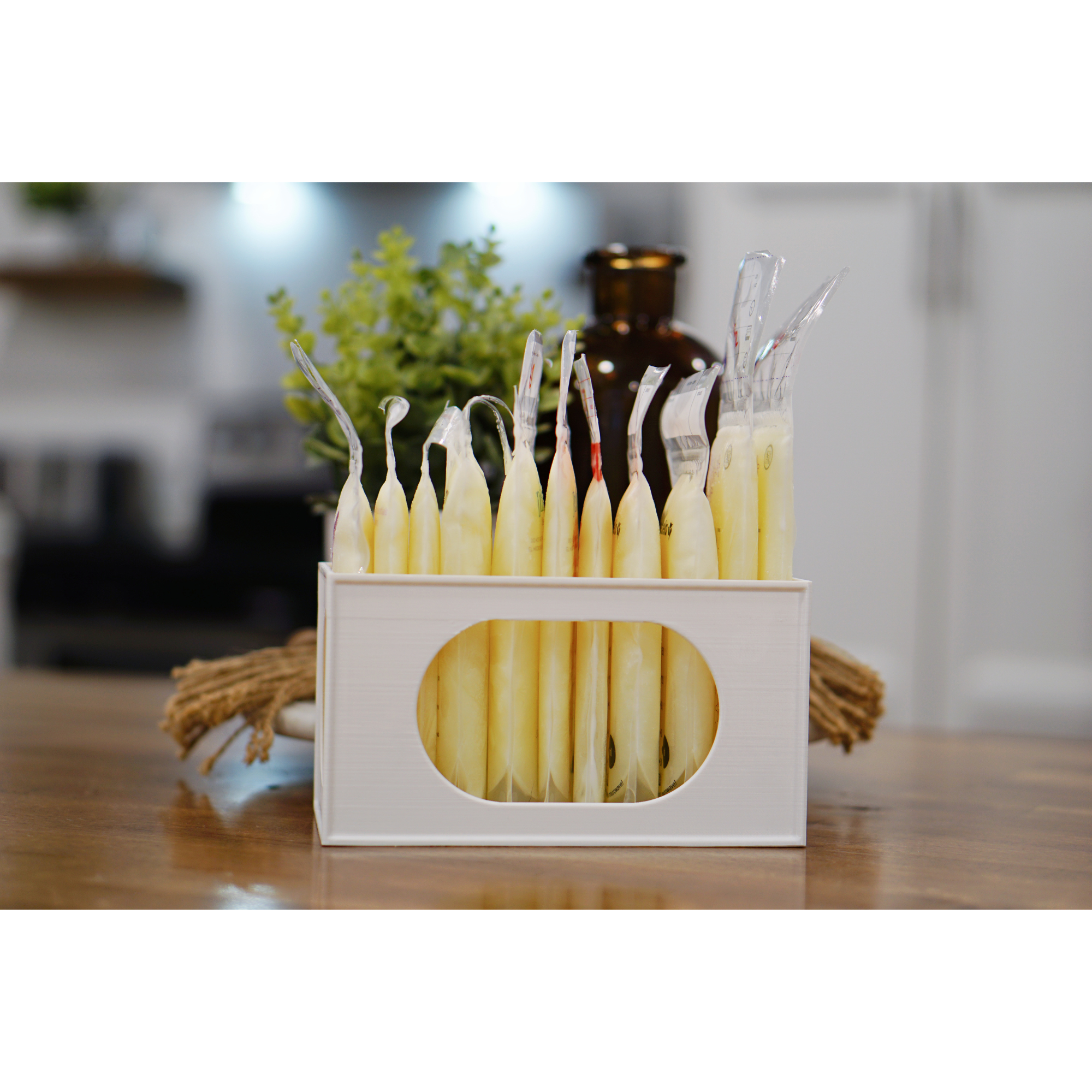Breastmilk Brick Storage Crate